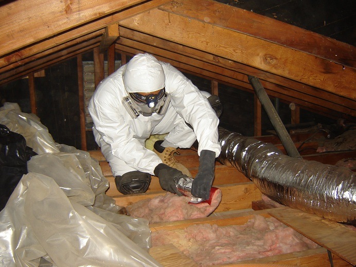 Mold Testing and Remediation